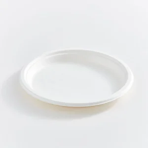 EK100R (10 INCH ROUND PLATE-10X50pcs/PKT)