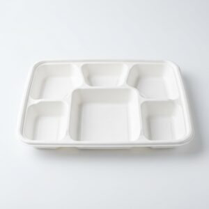 PCOM6 (6 COMPARTMENT PLATE LARGE-10X25)